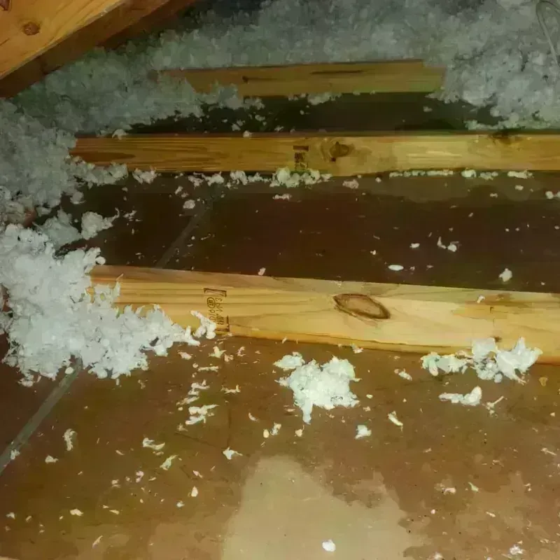 Attic Water Damage in McKinney, TX