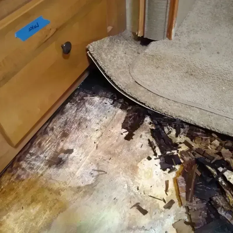 Best Wood Floor Water Damage Service in McKinney, TX